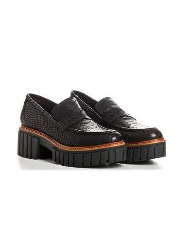 belina python