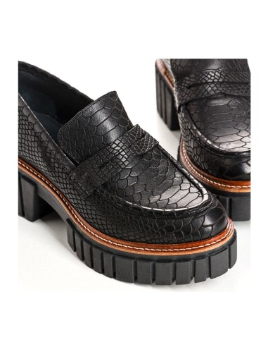 belina python