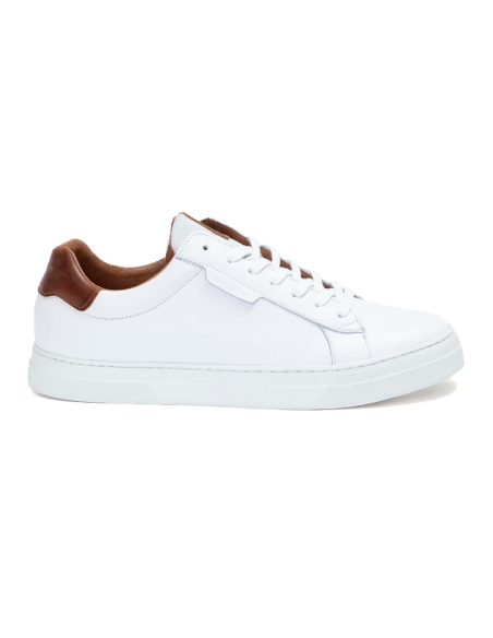 baskets sneakers spark clay schmoove