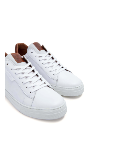baskets sneakers spark clay schmoove