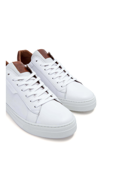 baskets sneakers spark clay schmoove