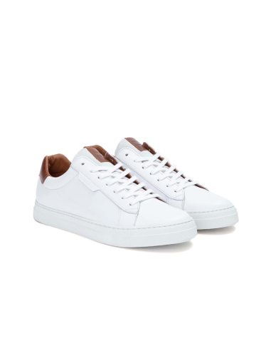 baskets sneakers spark clay schmoove