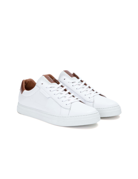 baskets sneakers spark clay schmoove