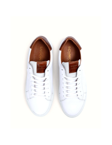 baskets sneakers spark clay schmoove