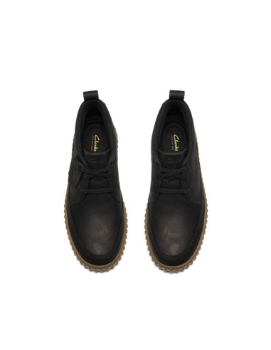 torhill lacehi