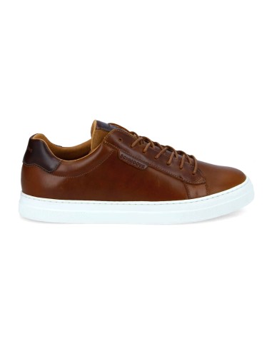 baskets sneakers spark clay schmoove
