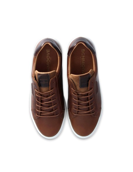 baskets sneakers spark clay schmoove