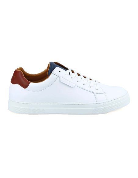 baskets sneakers spark clay schmoove