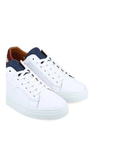 baskets sneakers spark clay schmoove