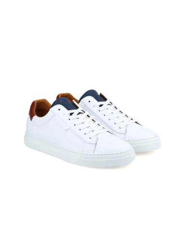 baskets sneakers spark clay schmoove