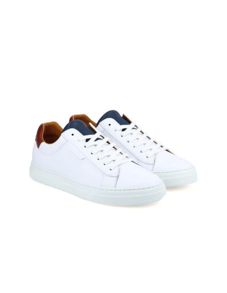 baskets sneakers spark clay schmoove