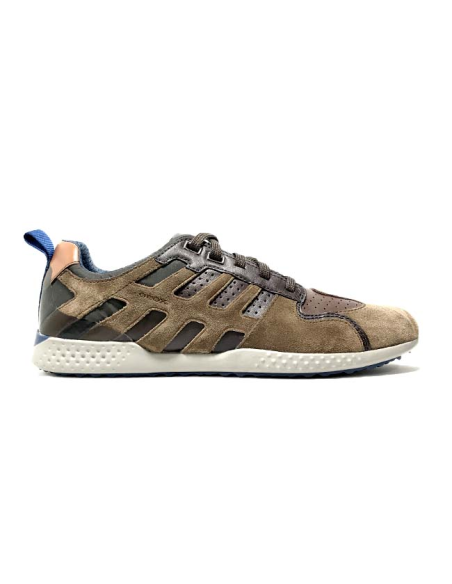 baskets sneakers snake2.0 geox