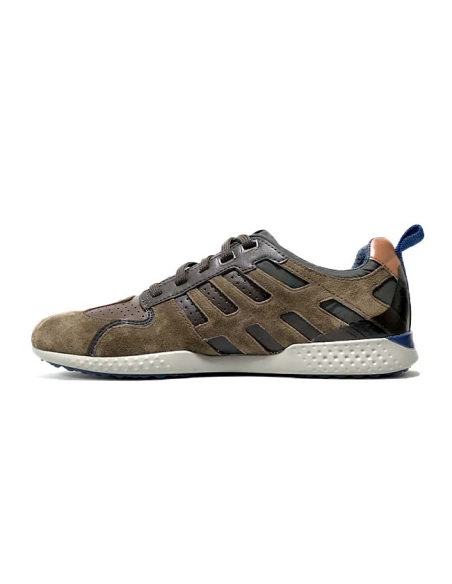 baskets sneakers snake2.0 geox