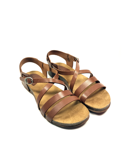 anatomium cuir vaquetta