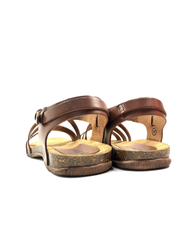 anatomium cuir vaquetta