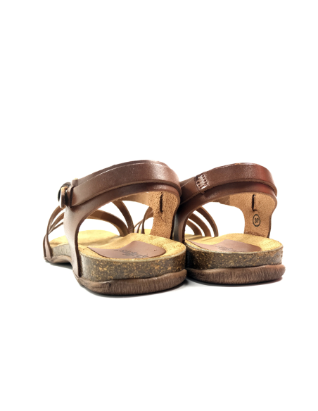 anatomium cuir vaquetta