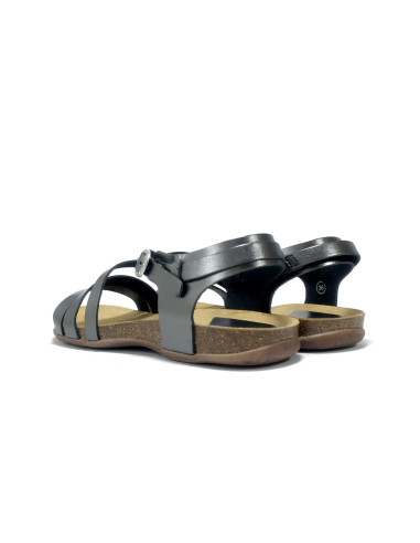 anatomium cuir vaquetta