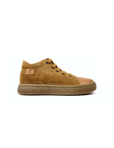 albus