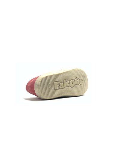 1er pas 1195 falcotto
