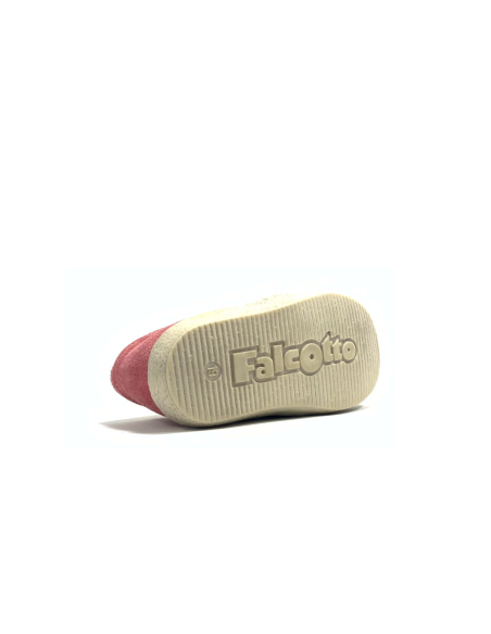 1er pas 1195 falcotto