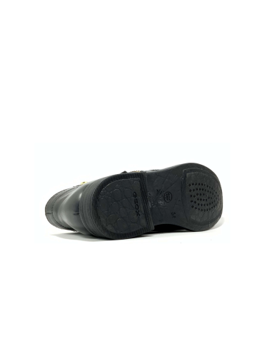 boots et bottes agata geox