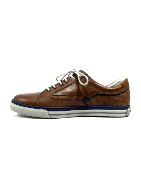 baskets sneakers 9372 hava fluchos