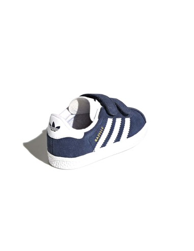 gazelle