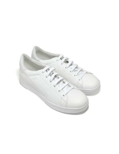 baskets sneakers jaysen geox