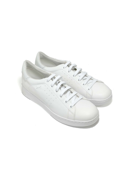 baskets sneakers jaysen geox