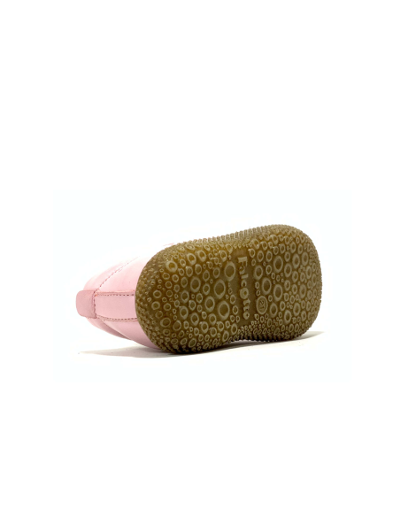 1er pas anemone falcotto