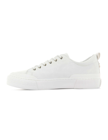 baskets sneakers studio 02 palladium manufacture