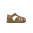 TITY TONTON - CAMEL