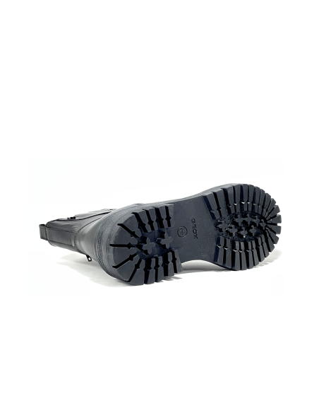 boots-bottines iridea geox