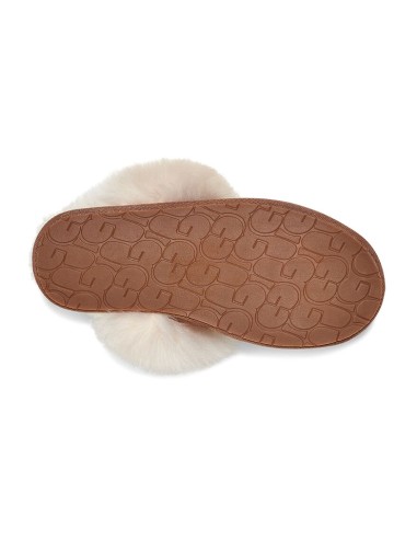 chausson scuff sis ugg