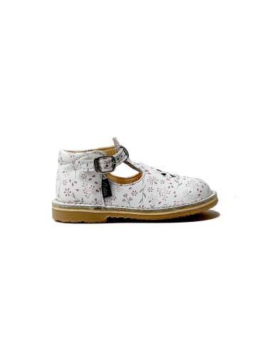 1er pas 902443-10 aster