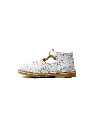 1er pas 902443-10 aster