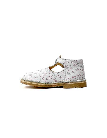 1er pas 902443-10 aster