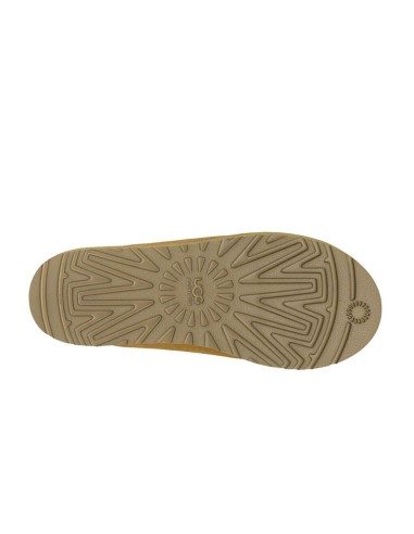 chausson tasman ugg