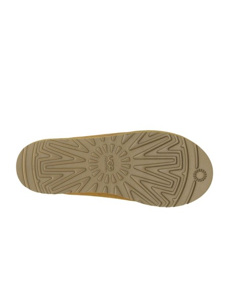 chausson tasman ugg