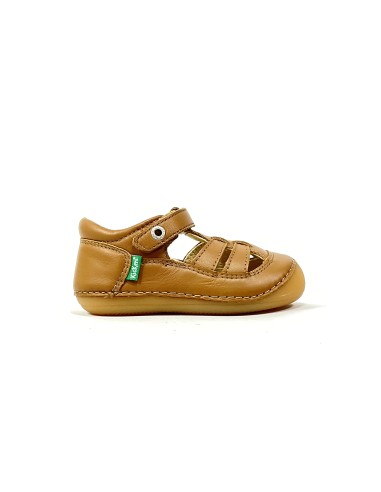 1er pas sushy KICKERS