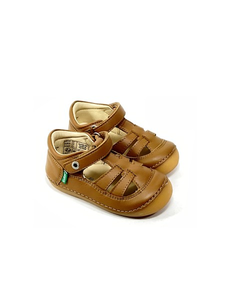 1er pas sushy KICKERS