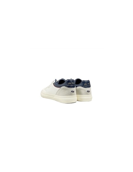 pms31006
