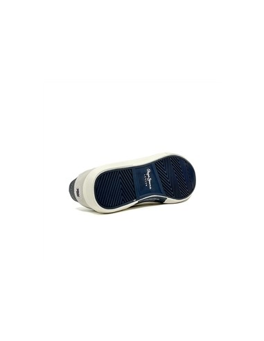 pms31006
