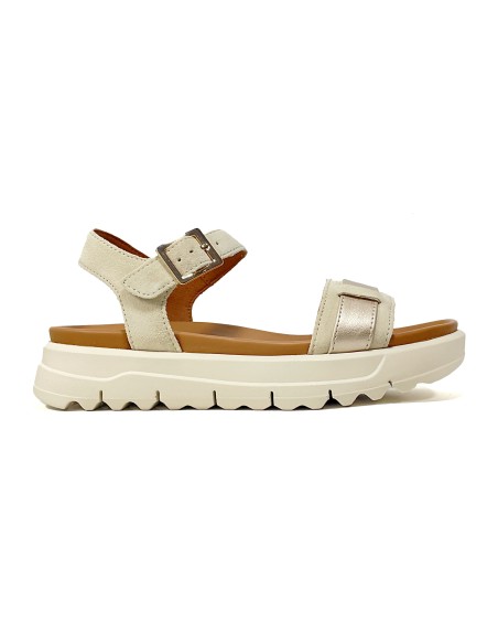 baskets sneakers xand geox