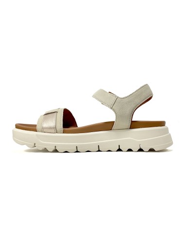 baskets sneakers xand geox