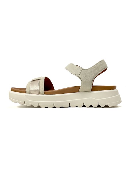 baskets sneakers xand geox