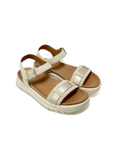 baskets sneakers xand geox