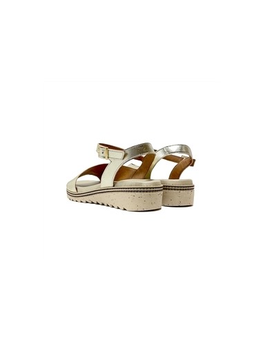 d8771-cs